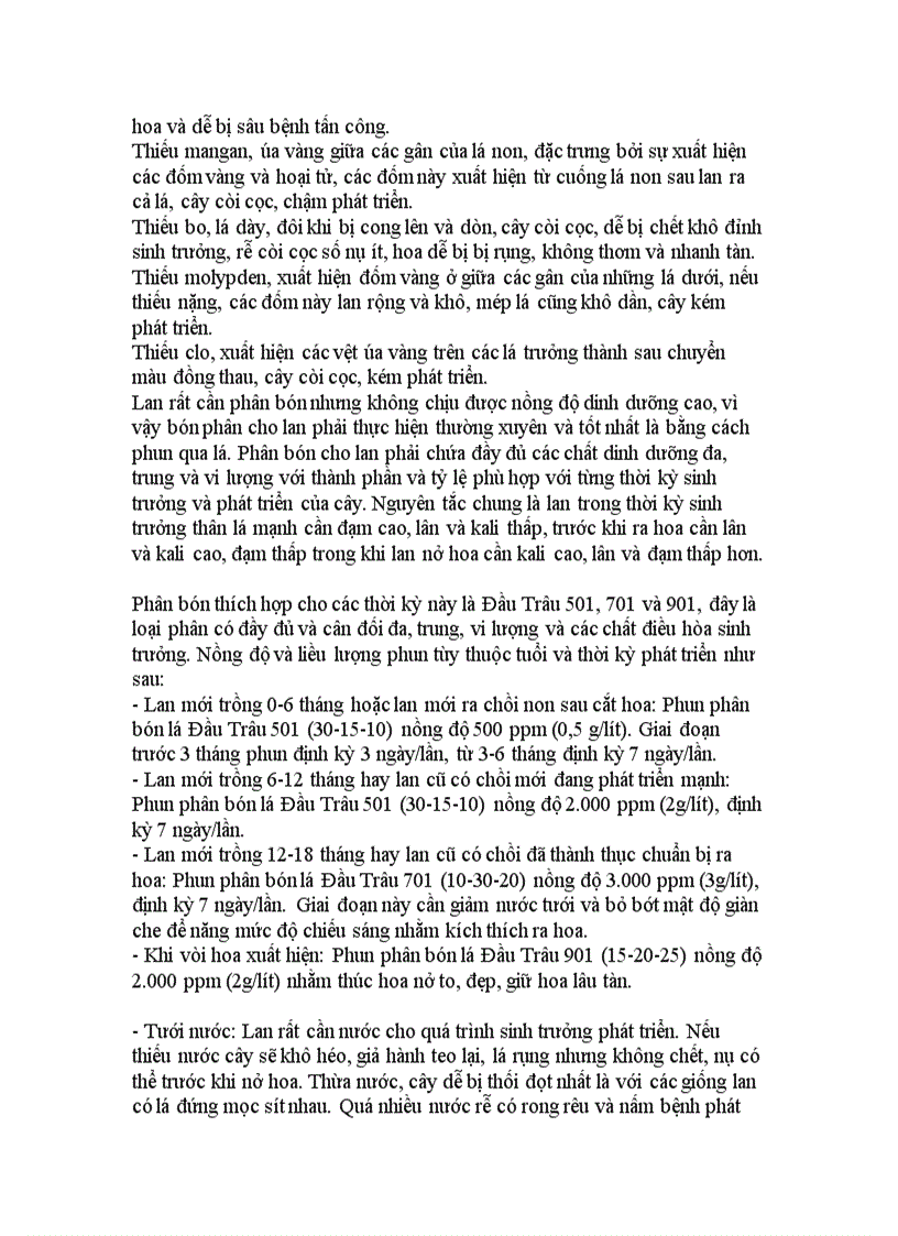 image for page Kỹ Thuật trồng Phong lan