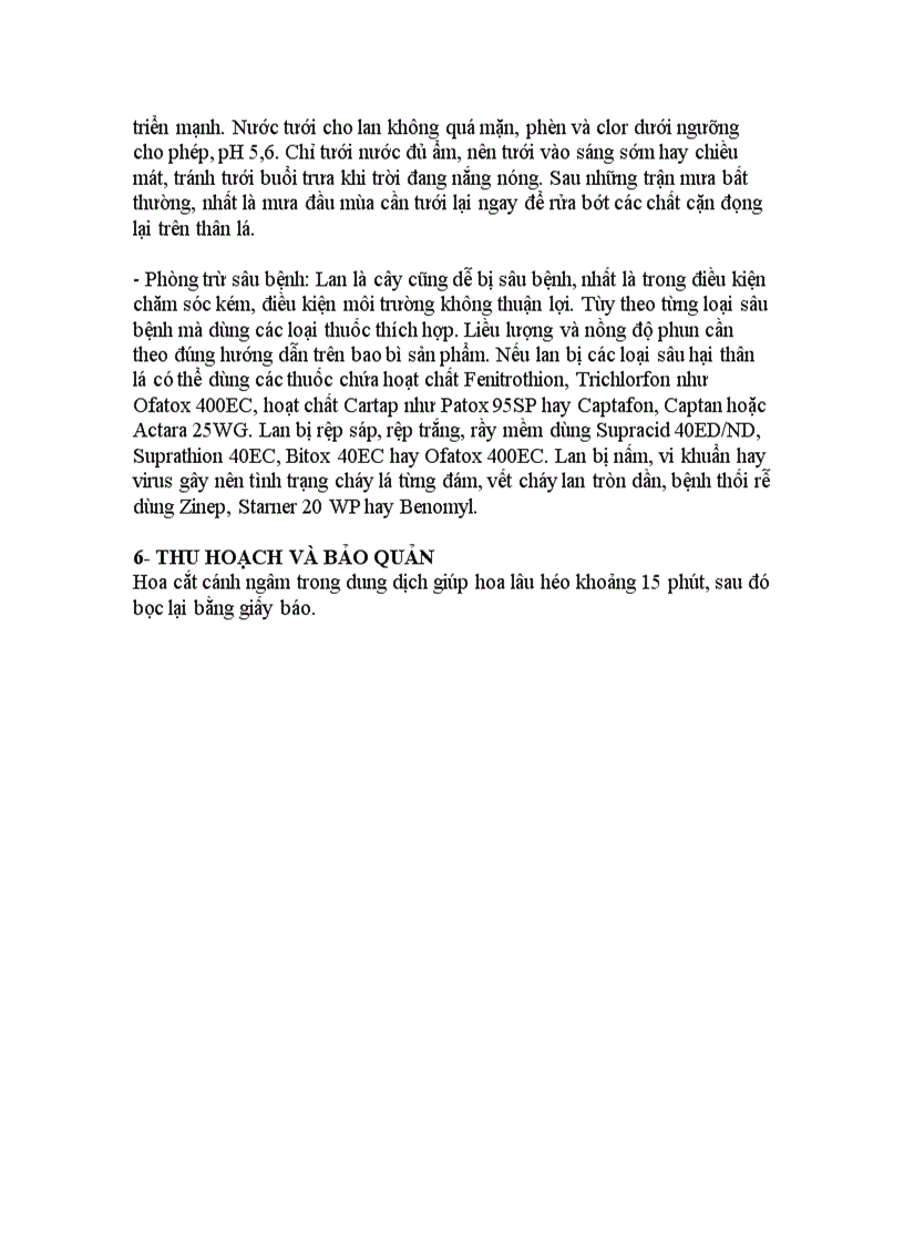 image for page Kỹ Thuật trồng Phong lan