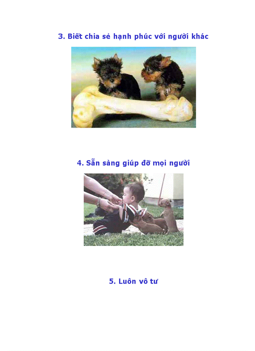 image for page Làm thế nào để có một cuộc sống hạnh phúc