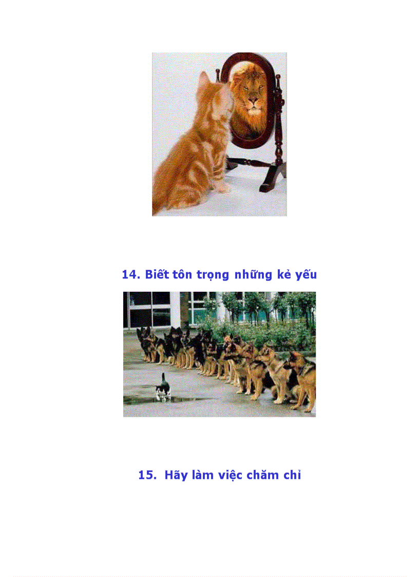 image for page Làm thế nào để có một cuộc sống hạnh phúc