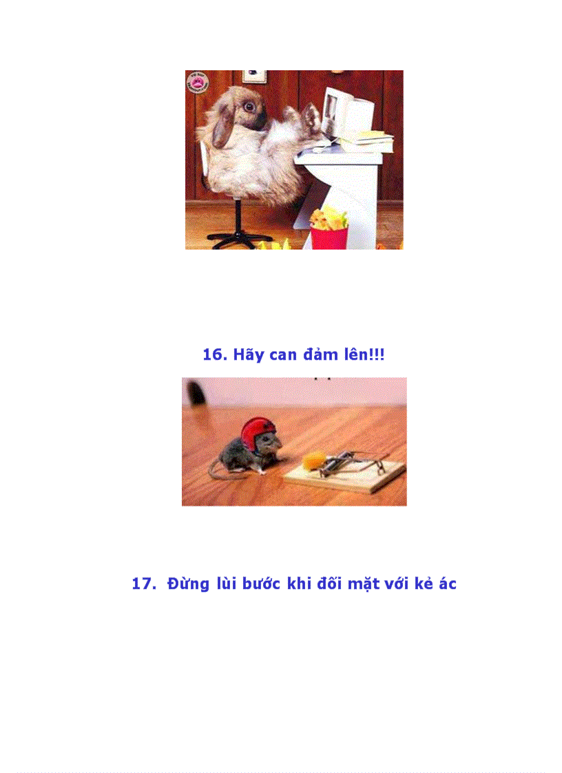 image for page Làm thế nào để có một cuộc sống hạnh phúc