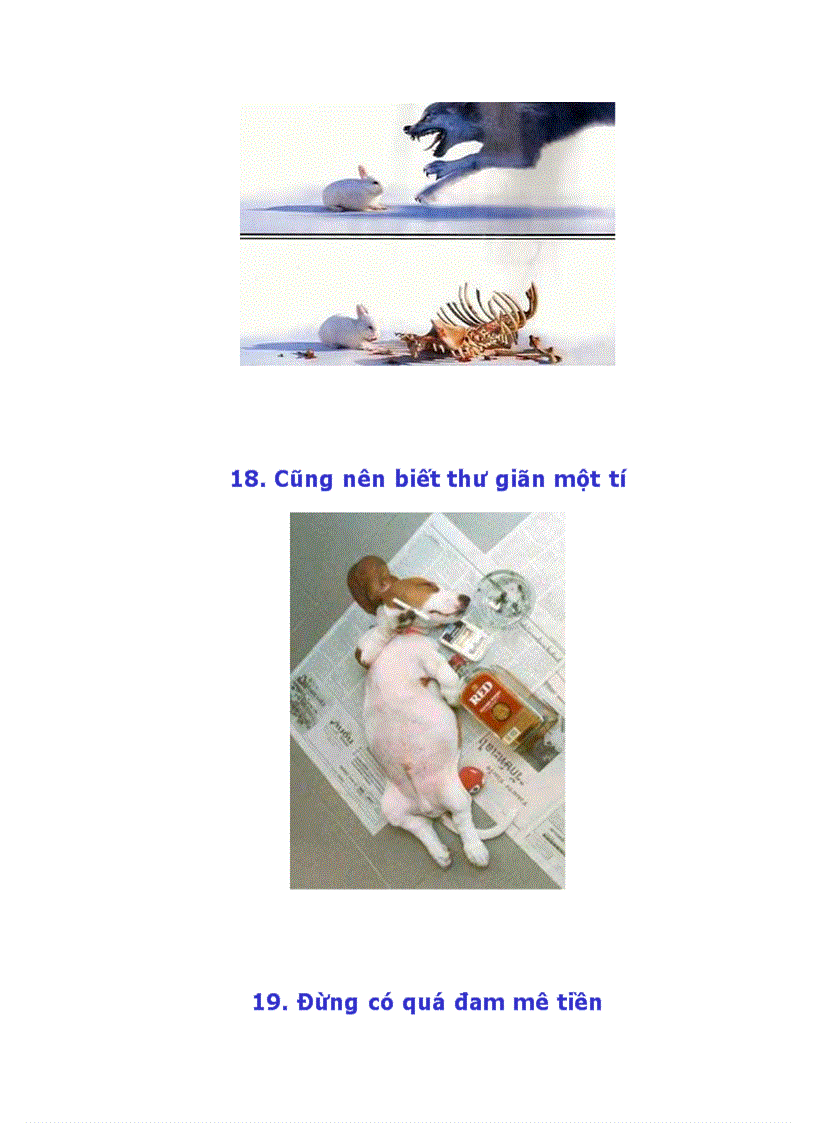 image for page Làm thế nào để có một cuộc sống hạnh phúc