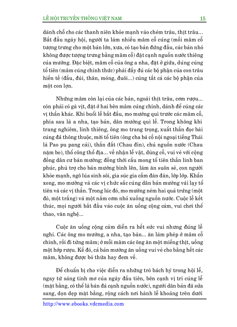 image for page Lễ hội truyền thống VN