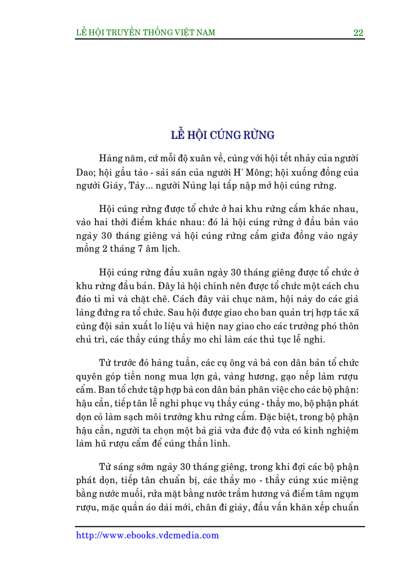 image for page Lễ hội truyền thống VN