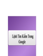 Lenh tim kiem trong google