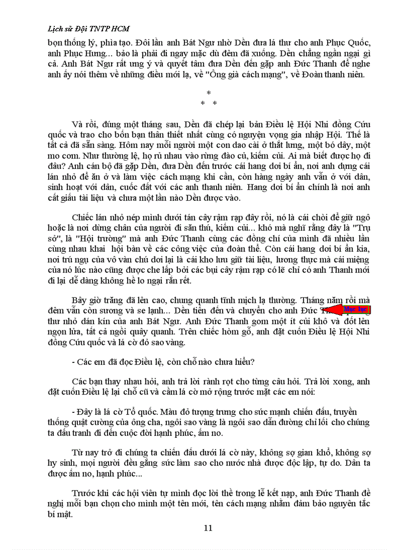 image for page Lịch sử Đội TNTP HCM