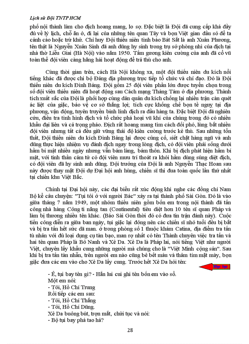 image for page Lịch sử Đội TNTP HCM