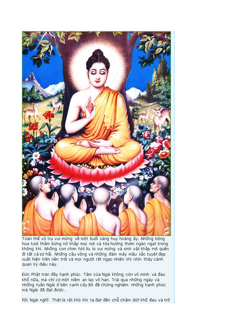 image for page Lich su duc phat thich ca