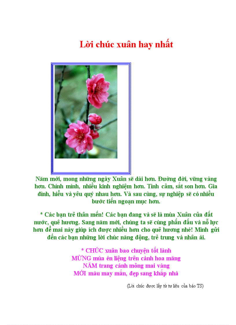 image for page Lời chúc xuân hay nhất
