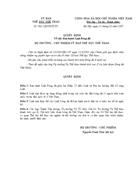 Luat Bong da san lon 2007