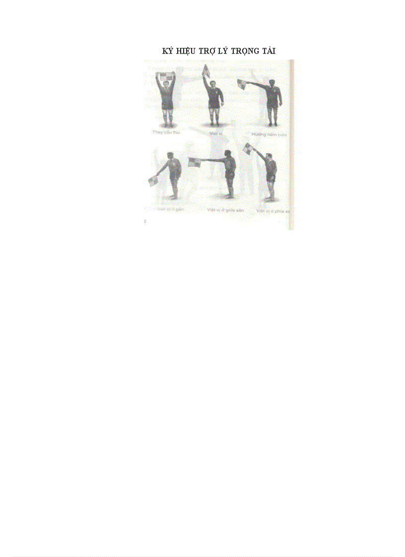 image for page Luat Bong da san lon 2007