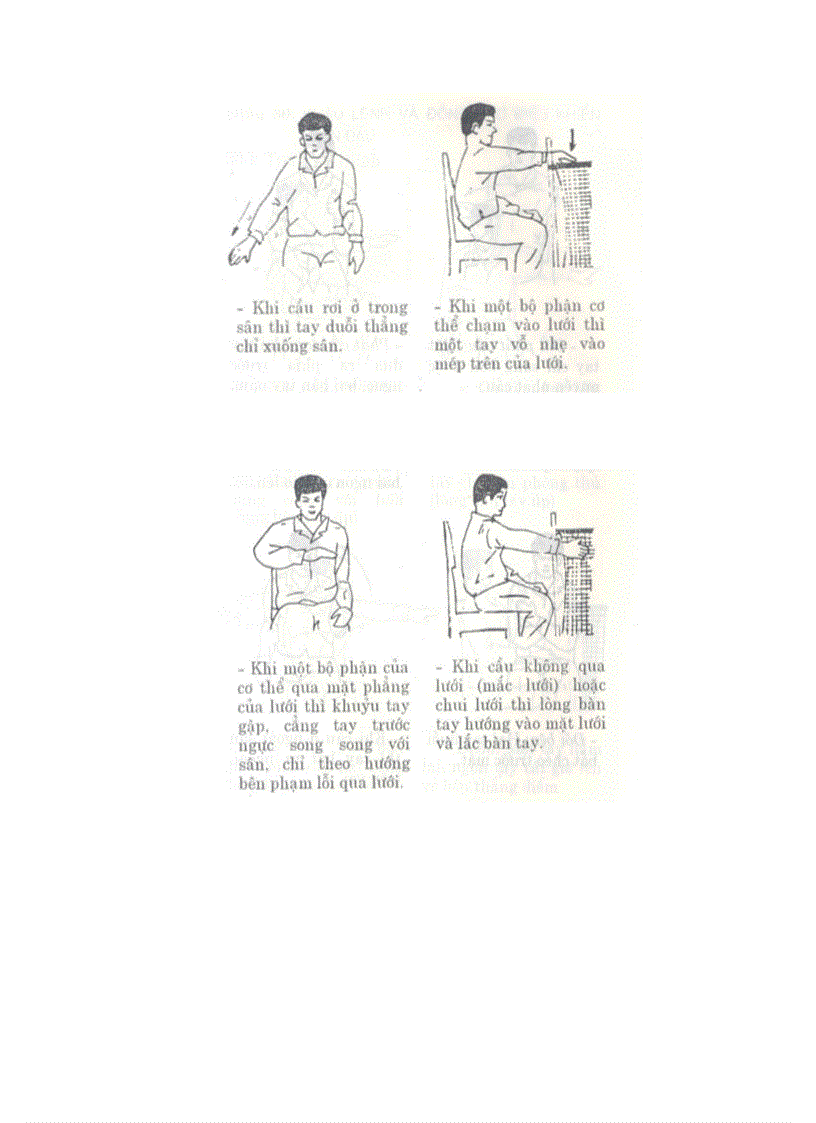 image for page Luat Da cau 2007