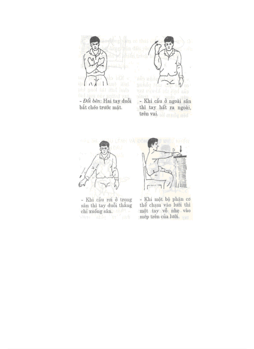 image for page Luat da cau