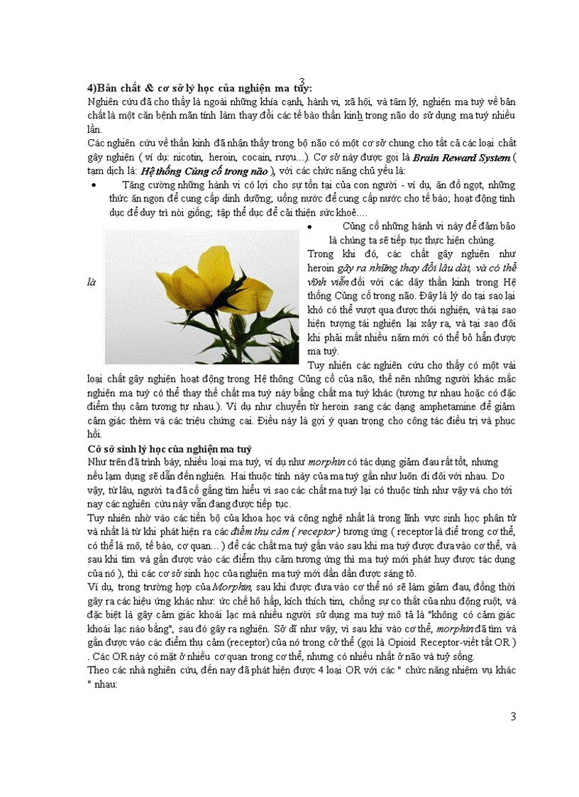 image for page Ma tuy