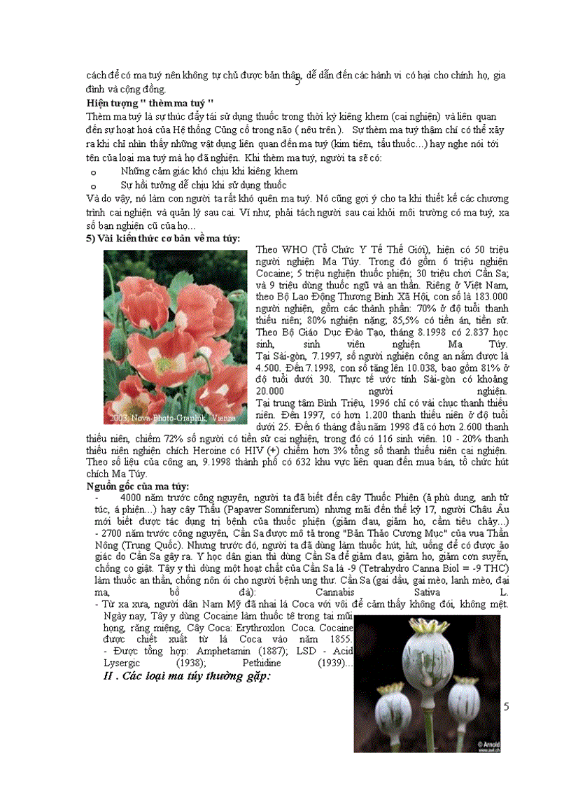 image for page Ma tuy