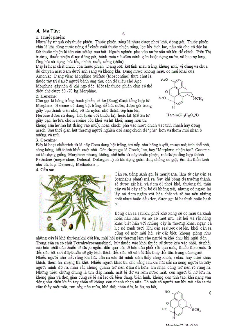 image for page Ma tuy