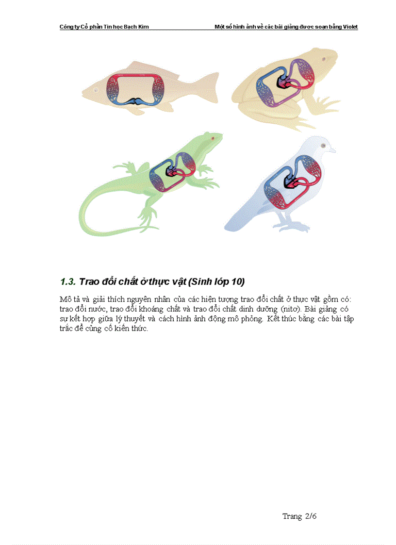 image for page Một số hình ảnh về bài giảng violet