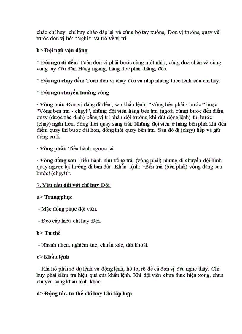 image for page Nghi thức đội