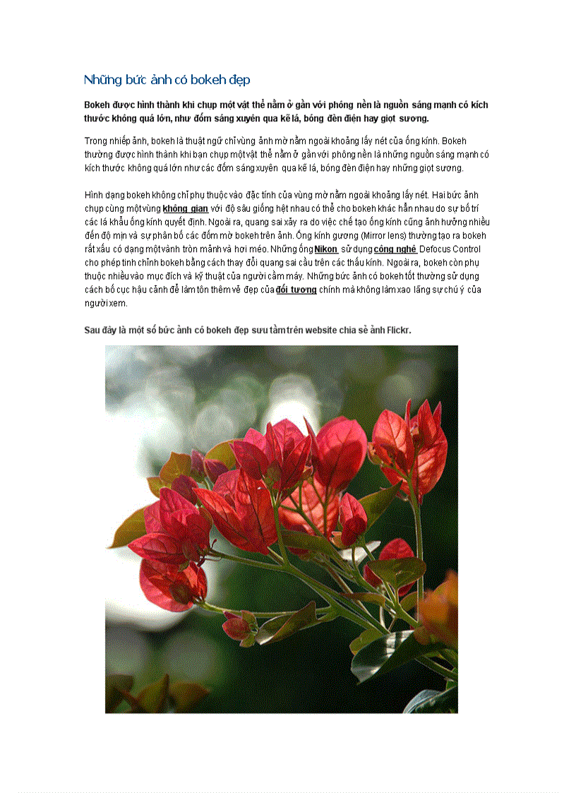 image for page Những bức ảnh có bokeh đẹp