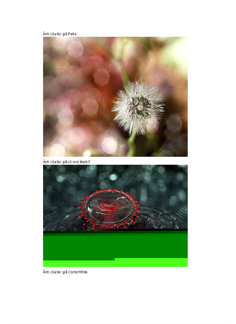 image for page Những bức ảnh có bokeh đẹp