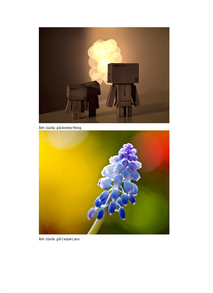 image for page Những bức ảnh có bokeh đẹp