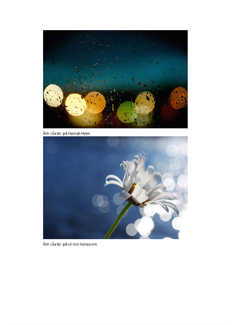 image for page Những bức ảnh có bokeh đẹp