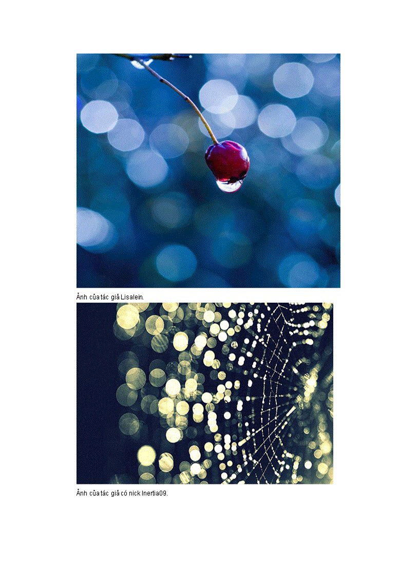 image for page Những bức ảnh có bokeh đẹp