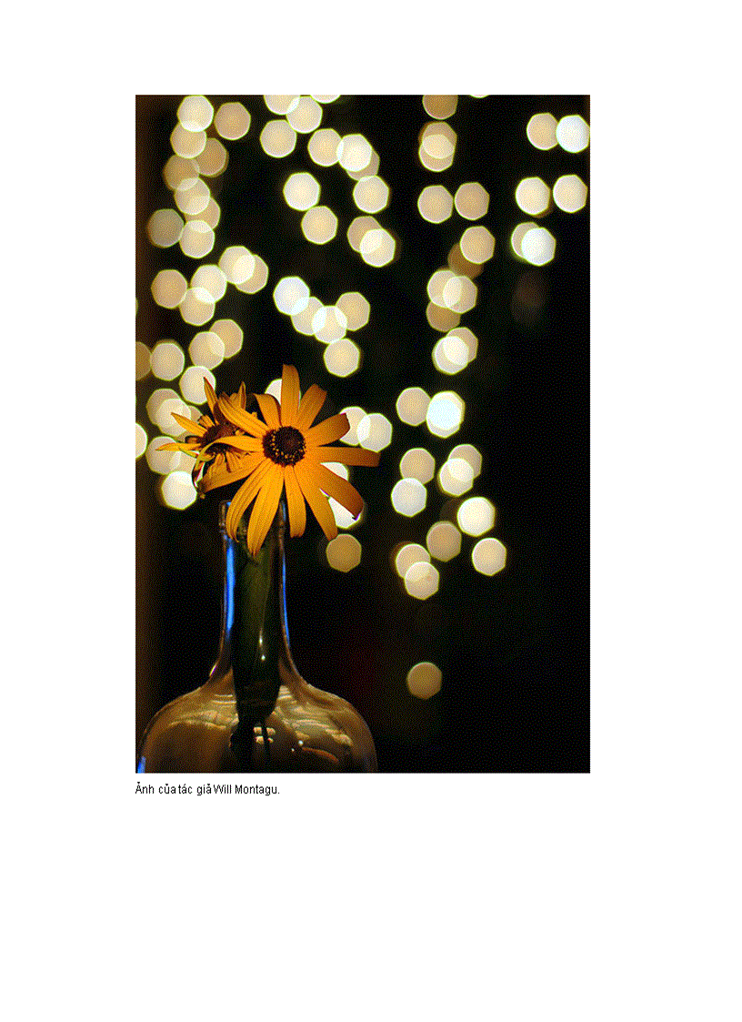 image for page Những bức ảnh có bokeh đẹp