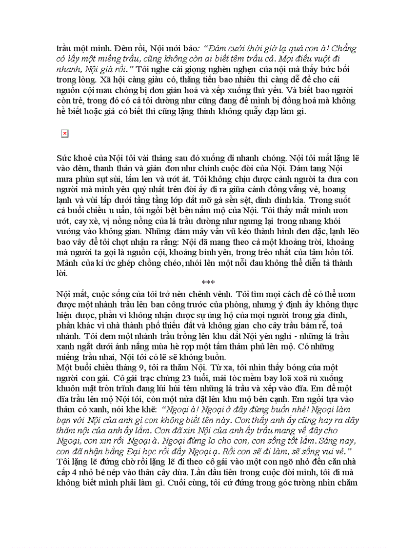 image for page Những cánh trầu mang ước mơ bay