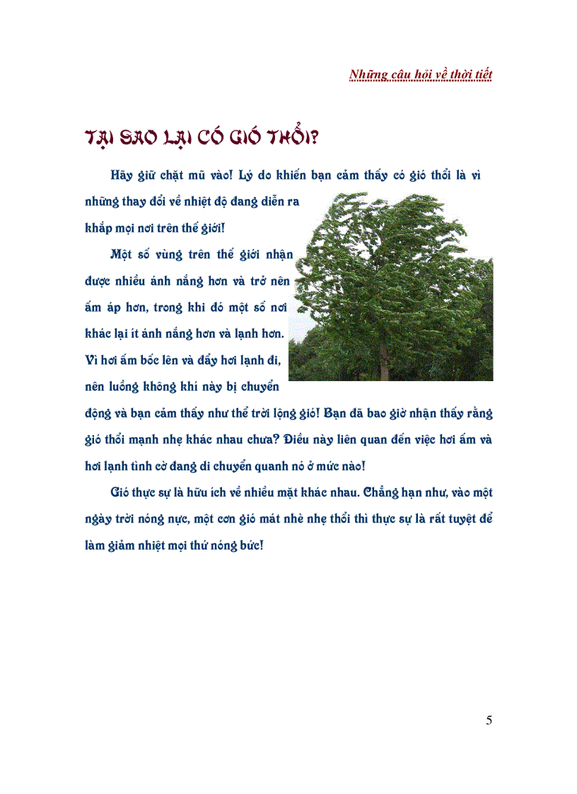 image for page Những câu hỏi về thời tiết