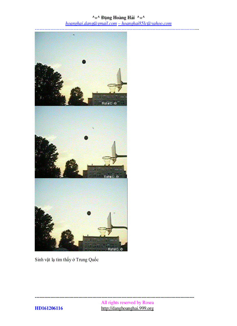 image for page Những chuyện kỳ lạ và huyền bí