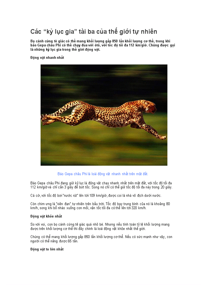 image for page Những kỉ lục của thế giới tự nhiên