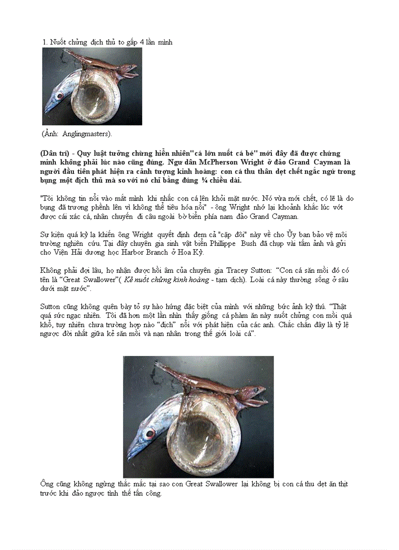 image for page Những mẩu chuyện kì lạ trên Internet