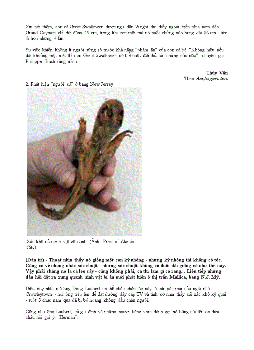 image for page Những mẩu chuyện kì lạ trên Internet