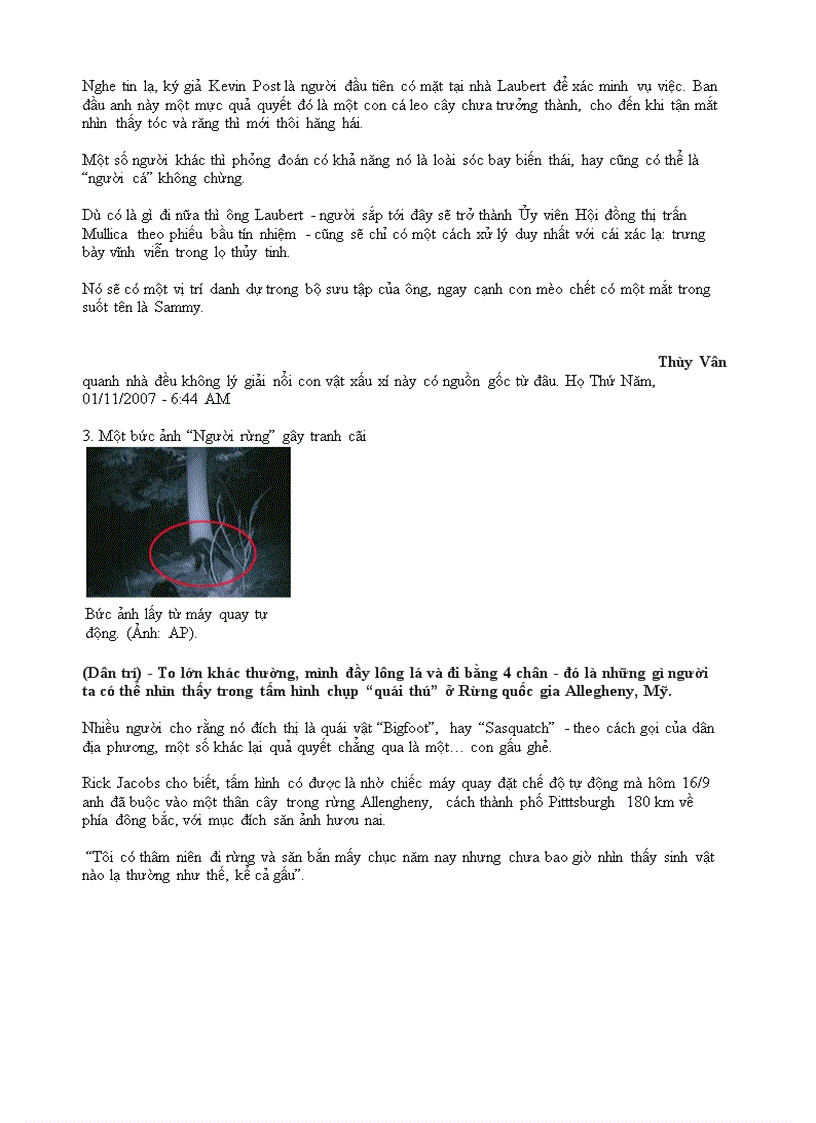 image for page Những mẩu chuyện kì lạ trên Internet