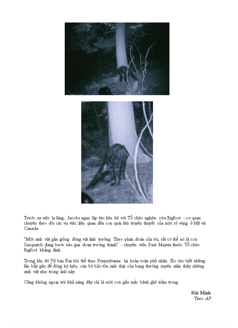 image for page Những mẩu chuyện kì lạ trên Internet