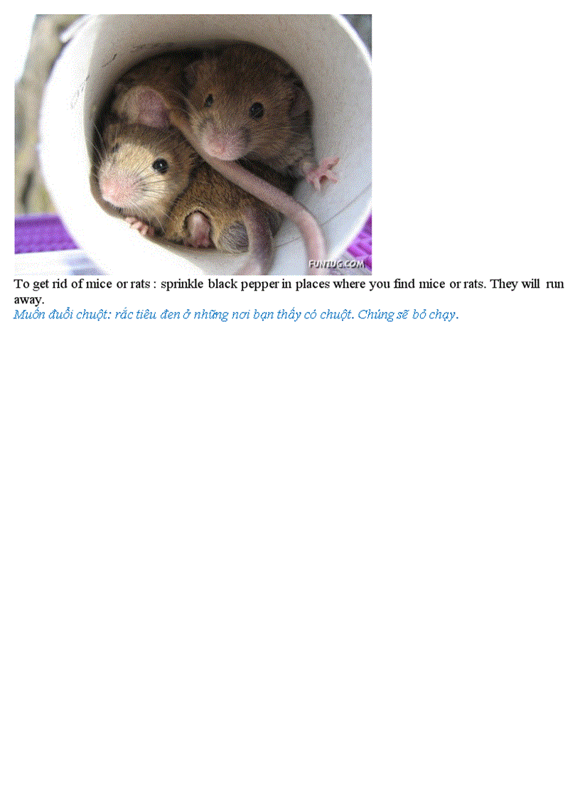 image for page Những mẹo vặt hữu ích