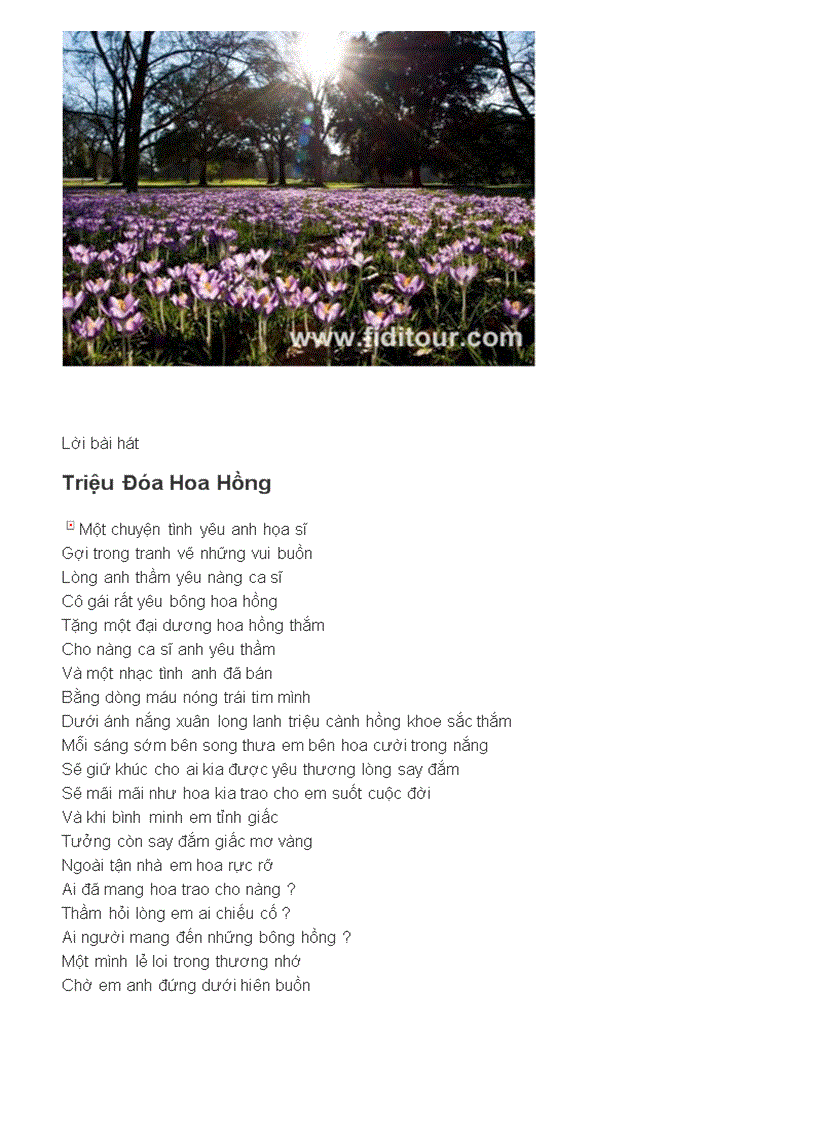 image for page Những vươn hoa đẹp