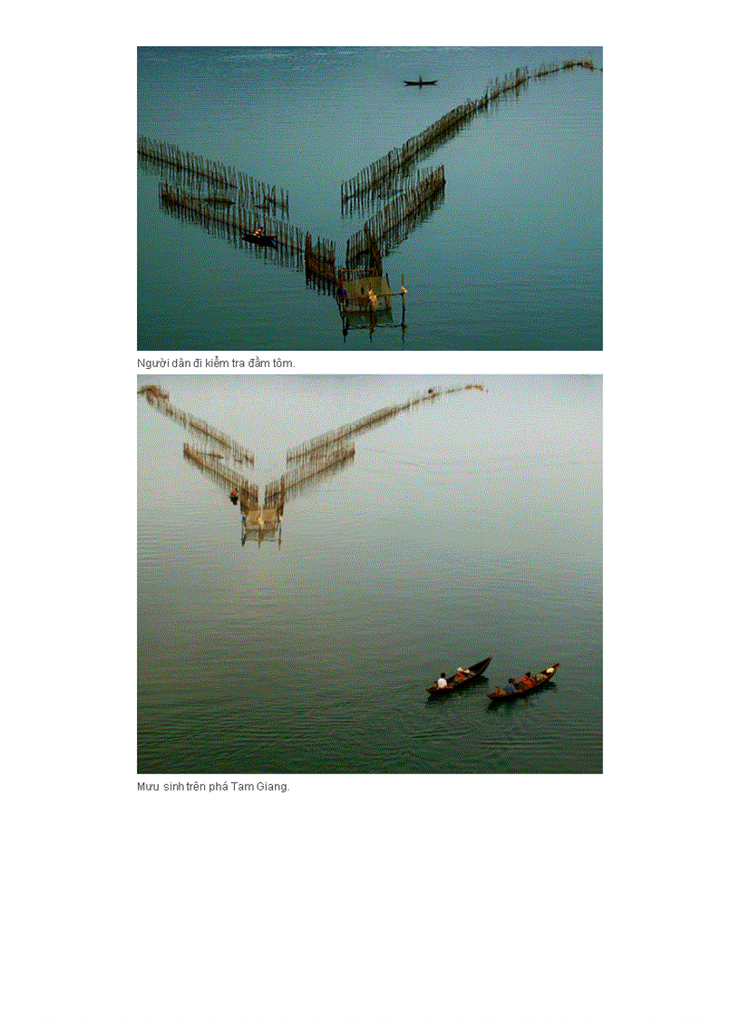 image for page Phá Tam Giang