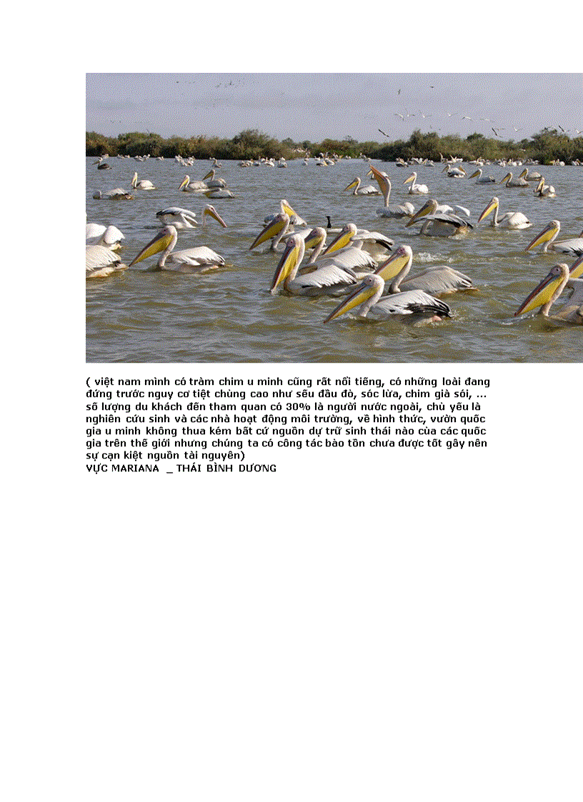 image for page Phan xi păng 10 địa danh du lịch độc đáo nhất thế giới