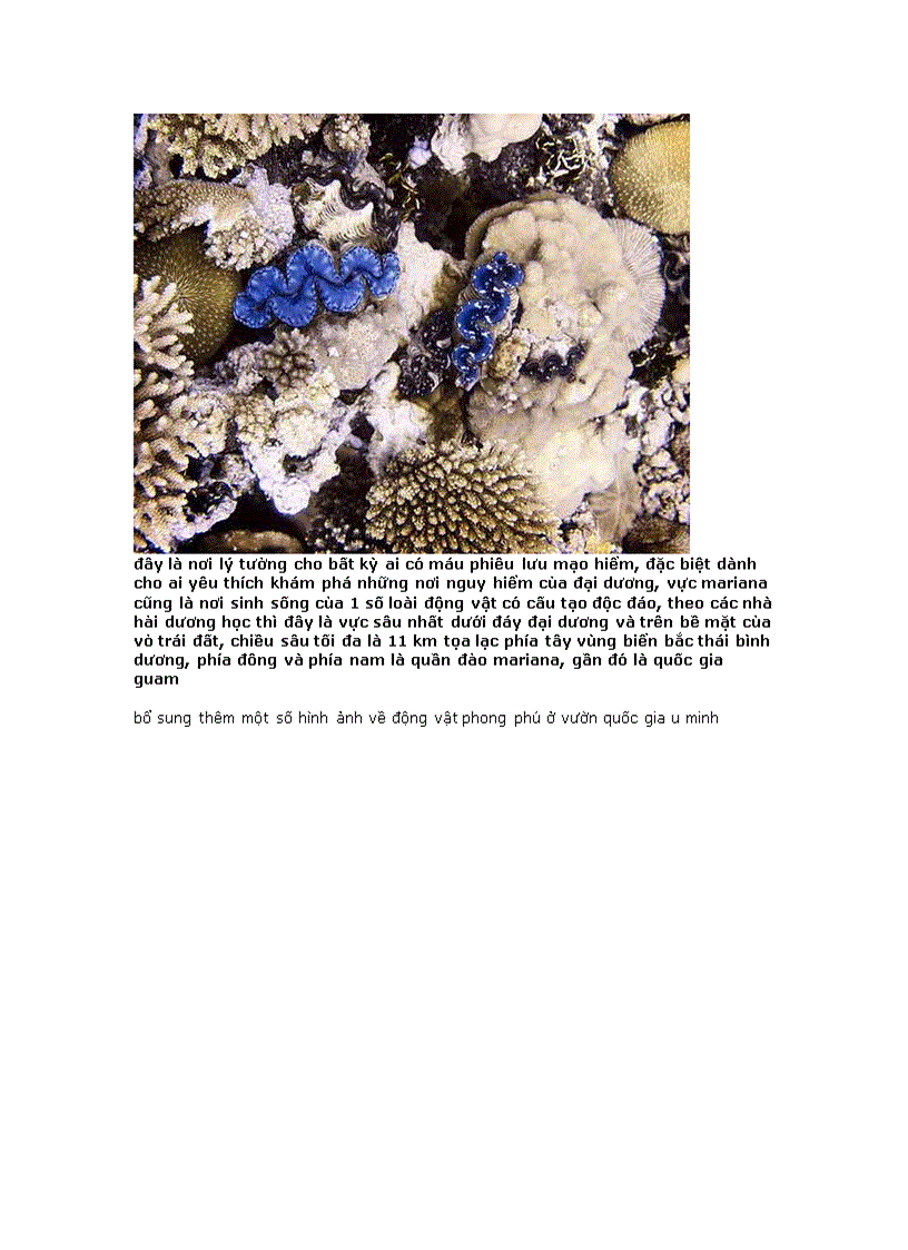 image for page Phan xi păng 10 địa danh du lịch độc đáo nhất thế giới