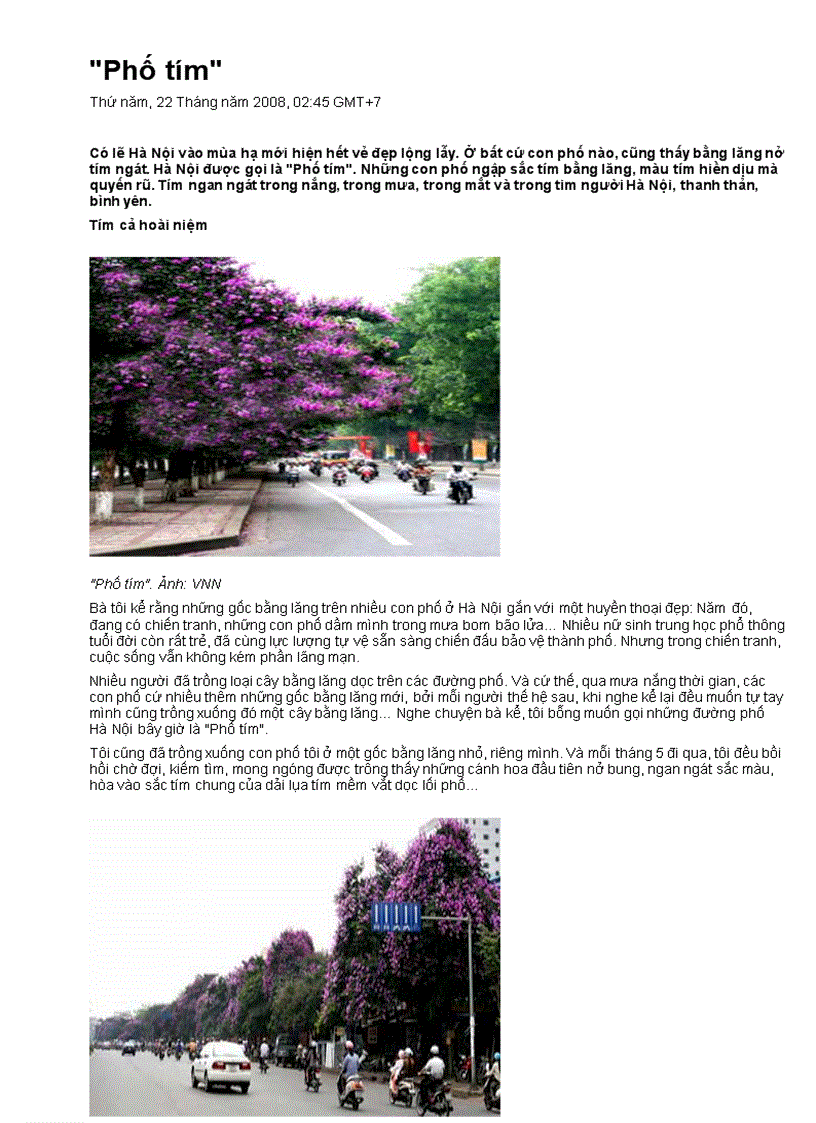 image for page Phố tím