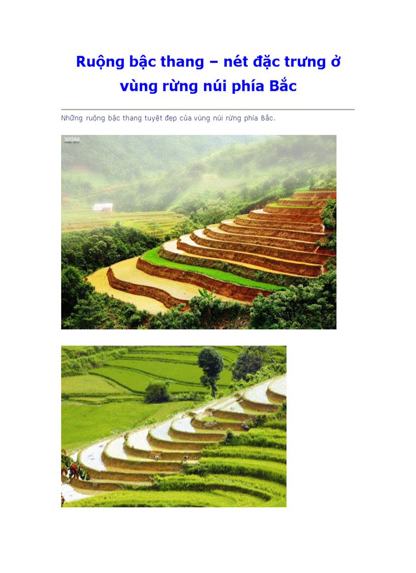 image for page Ruộng bậc thang Nét đặc trưng ở vùng núi rừng phía Bắc Việt Nam