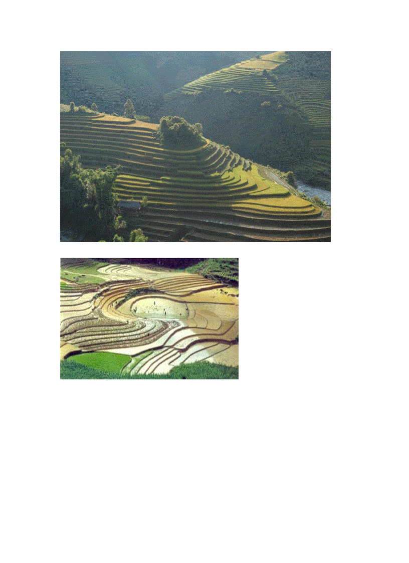 image for page Ruộng bậc thang Nét đặc trưng ở vùng núi rừng phía Bắc Việt Nam