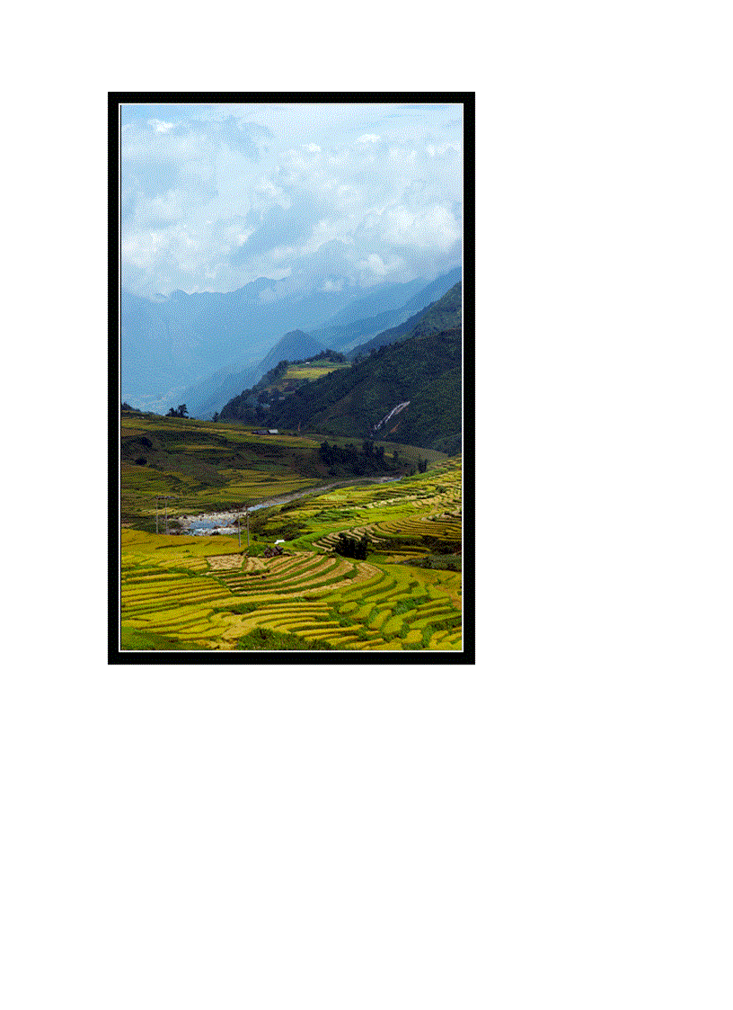 image for page Ruộng bậc thang Nét đặc trưng ở vùng núi rừng phía Bắc Việt Nam