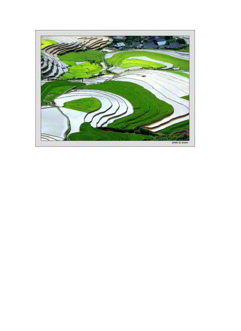 image for page Ruộng bậc thang Nét đặc trưng ở vùng núi rừng phía Bắc Việt Nam