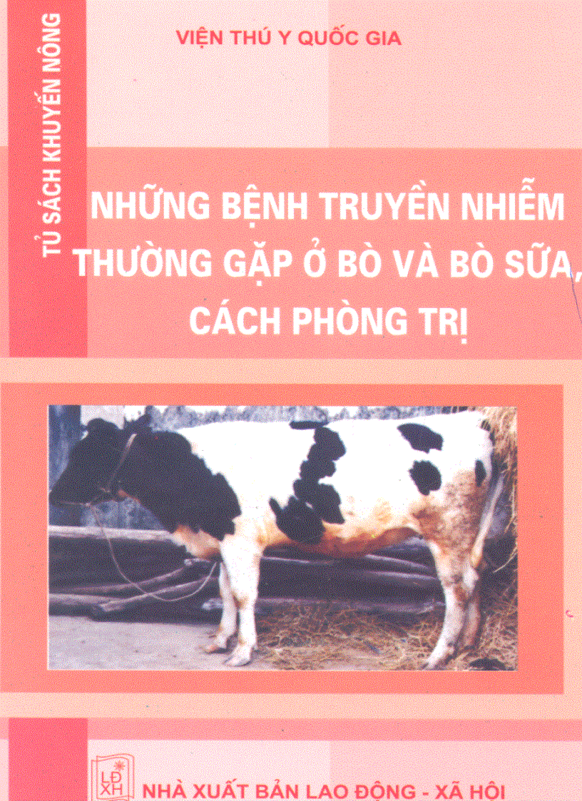 Sách bệnh truyền nhiễm thường gặp ở bò sữa