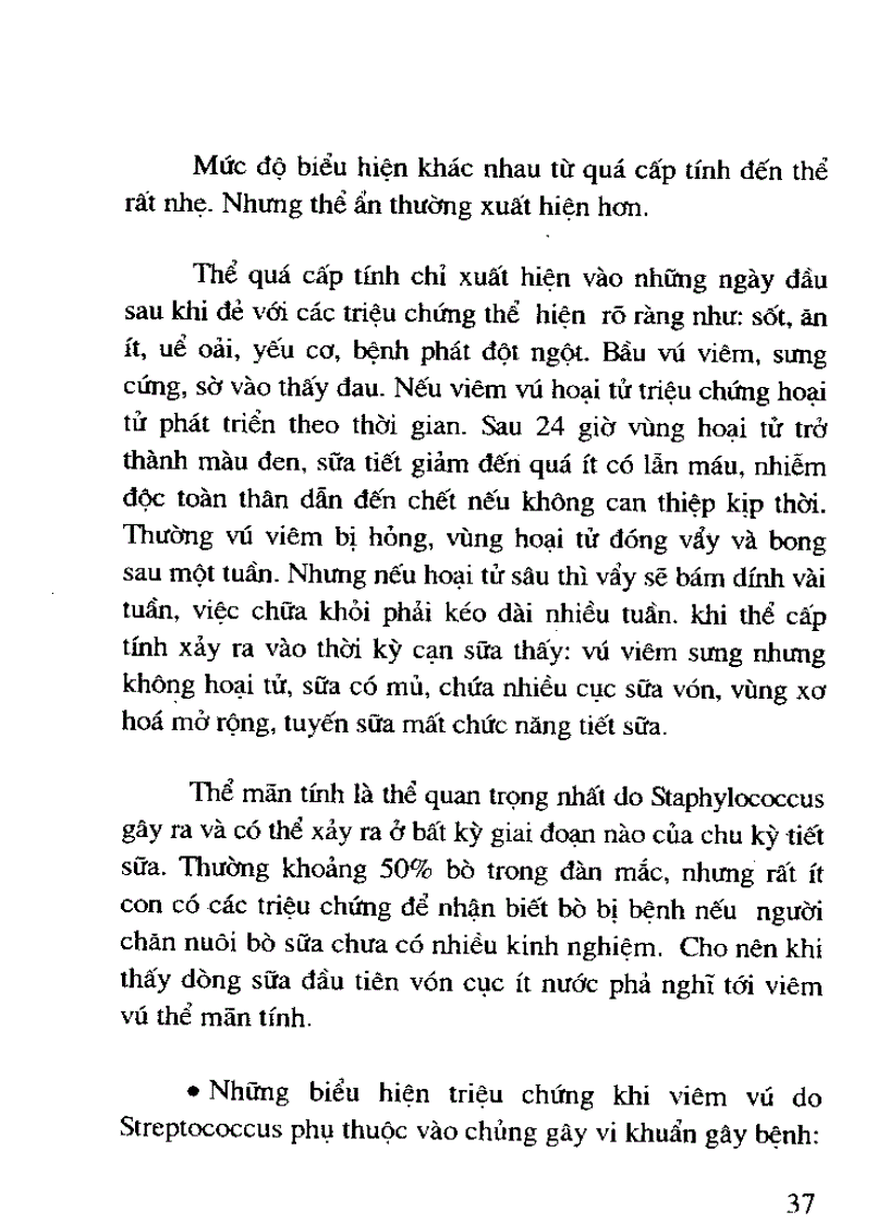 image for page Sách bệnh truyền nhiễm thường gặp ở bò sữa