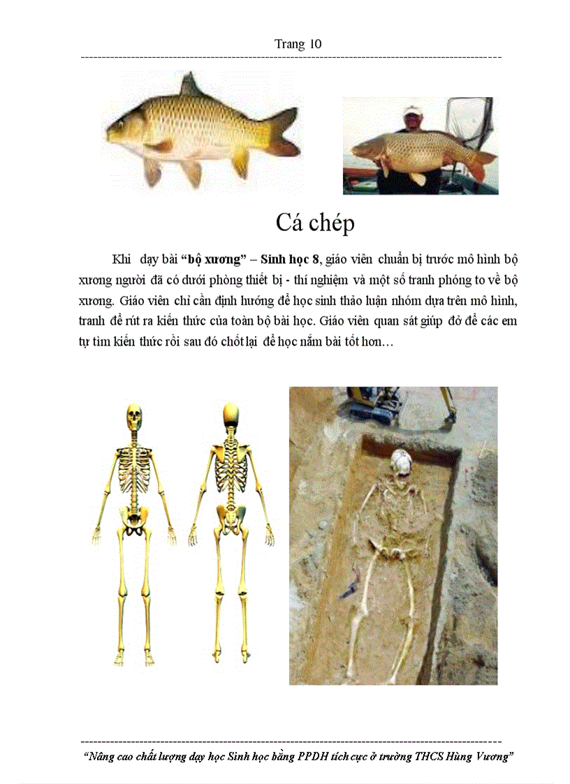 image for page SKKN day tot mon Sinh hoc