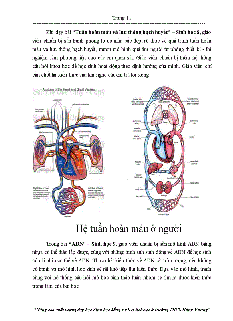 image for page SKKN day tot mon Sinh hoc